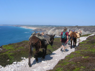 randonnée sur un sentier côtier de bretagne avec un âne